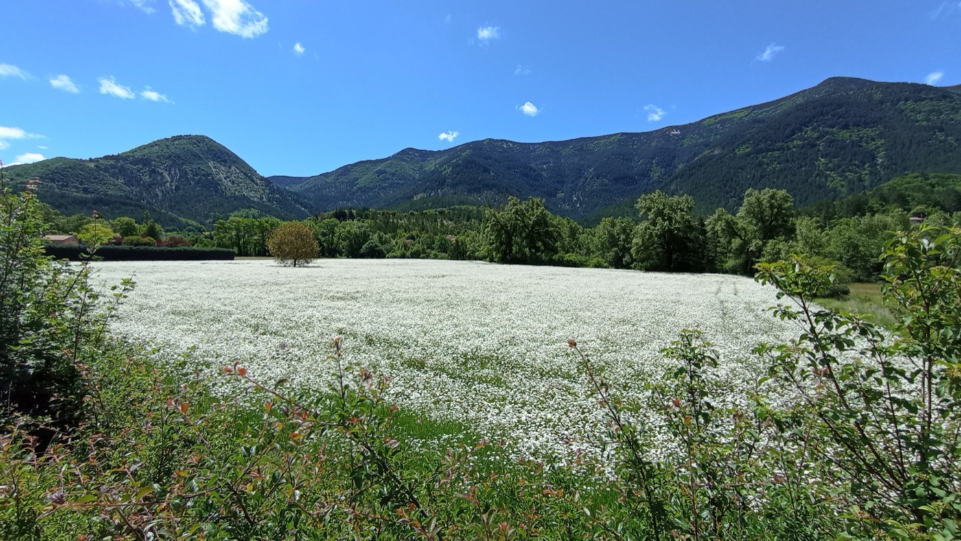 Paysage